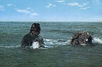 Image from: Chikyû Kogeki Meirei: Gojira tai Gaigan (1972)