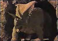 Image from: When Dinosaurs Ruled the Earth (1970)