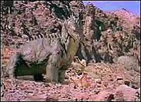 Image from: When Dinosaurs Ruled the Earth (1970)