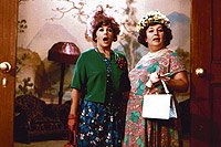 Image from: Pane, Vy jste Vdova! (1971)
