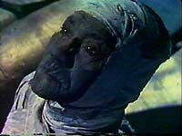 Image from: Monstruos del Terror, Los (1970)