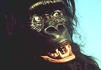 Image from: Mighty Gorga, The (1969)