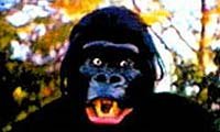 Image from: Mighty Gorga, The (1969)