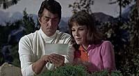 Image from: The Ambushers (1967)
