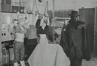 Image from: Wild World of Batwoman, The (1966)
