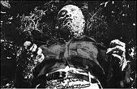 Image from: Navy vs. the Night Monsters, The (1966)