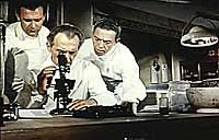 Image from: Island of Terror (1966)