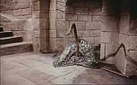 Image from: Island of Terror (1966)