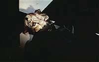 Image from: Island of Terror (1966)