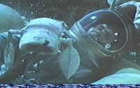 Image from: Wizard of Mars, The (1965)