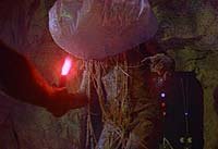 Image from: Sting of Death (1965)