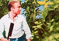 Image from: Die, Monster, Die! (1965)
