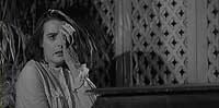Image from: Curse of the Fly, The (1965)