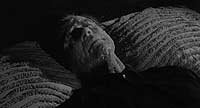 Image from: Curse of the Fly, The (1965)