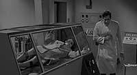 Image from: Curse of the Fly, The (1965)