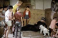 Image from: Tintin et les Oranges Bleues (1964)