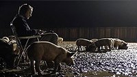 Image from: Upstream Color (2013)