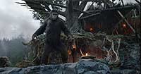 Image from: Dawn of the Planet of the Apes (2014)