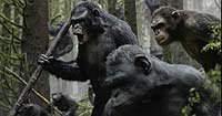 Image from: Dawn of the Planet of the Apes (2014)