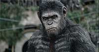 Image from: Dawn of the Planet of the Apes (2014)