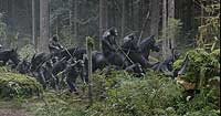 Image from: Dawn of the Planet of the Apes (2014)