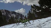 Image from: Ice Spiders (2007)