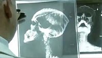 Image from: Species: The Awakening (2007)