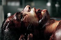 Image from: Code Red (2013)