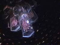 Image from: Lifeforce (1985)
