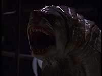 Image from: Creature (1998)