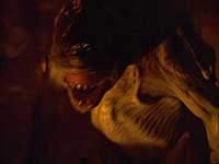 Image from: Creature (1998)