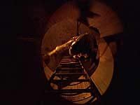 Image from: Creature (1998)