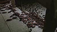 Image from: They Nest (2000)
