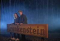 Image from: Frankenstein Reborn! (1998)