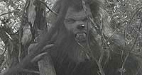 Image from: Frankenstein vs. the Creature From Blood Cove (2005)