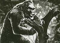 Image from: King Kong (1933)