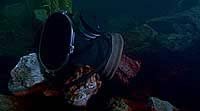 Image from: Shark Attack 3: Megalodon (2002)