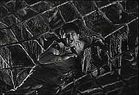 Image from: Earth vs the Spider (1958)