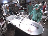 Image from: Virtual Obsession (1998)