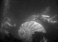 Image from: Monster That Challenged the World, The (1957)