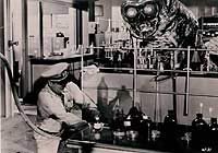 Image from: Monster That Challenged the World, The (1957)