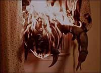 Image from: Arachnia (2003)