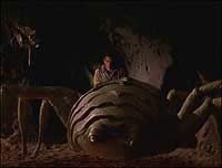 Image from: Arachnia (2003)