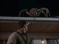 Image from: Arachnia (2003)