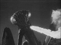 Image from: Deadly Mantis, The (1957)