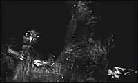 Image from: Toter hing im Netz, Ein (1960)