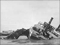 Image from: Behemoth, the Sea Monster (1959)