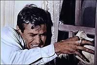 Image from: Birds, The (1963)