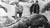 Image from: Abominable Snowman, The (1957)