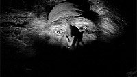 Image from: Abominable Snowman, The (1957)